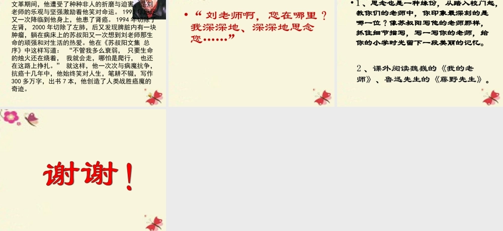 六年级语文下册 第6单元 26《理想的风筝》课件4 语文S版-语文S版小学六年级下册语文课件