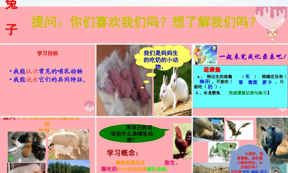 四年级科学上册 2.3 吃奶长大的动物课件2 湘教版-湘教版小学四年级上册自然科学课件