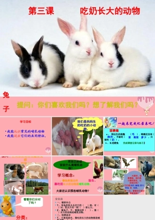 四年级科学上册 2.3 吃奶长大的动物课件2 湘教版-湘教版小学四年级上册自然科学课件