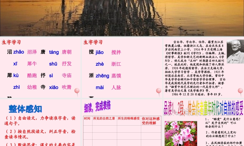 六年级语文下册《大自然，心中最美的诗》教学课件（简要参考）