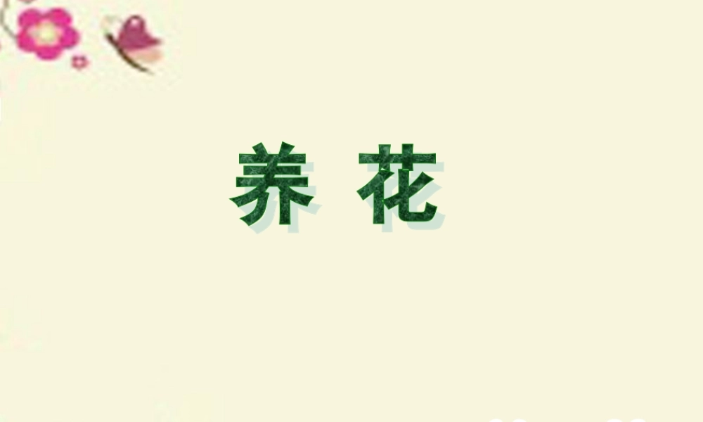 六年级语文下册 第3单元 7《养花》课件3 语文A版-语文A版小学六年级下册语文课件