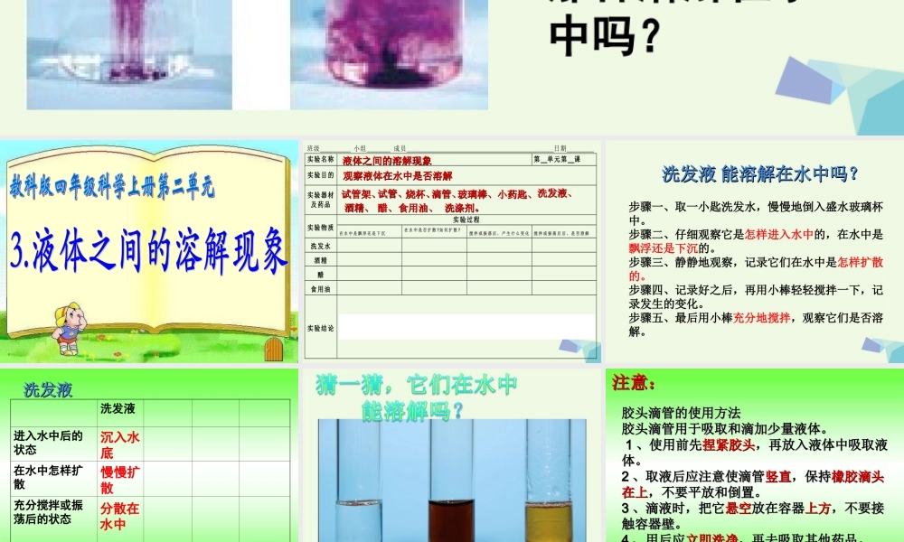 四年级科学上册 2.3 液体之间的溶解现象课件1 教科版-教科版小学四年级上册自然科学课件