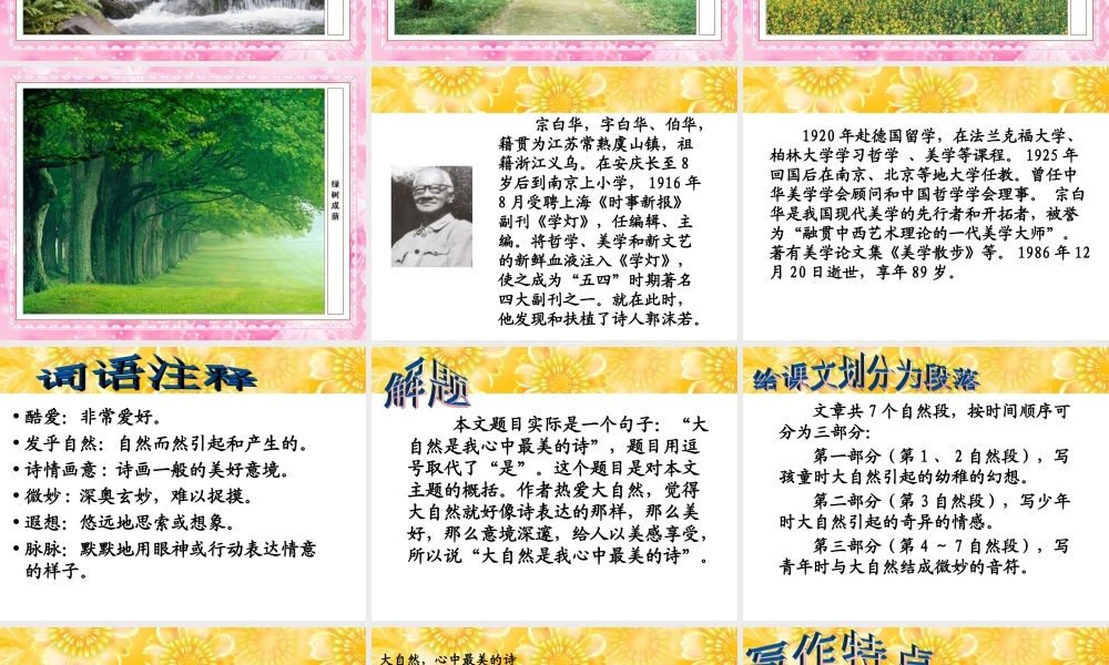 六年级语文下册《大自然，心中最美的诗》教学课件（详细解读）