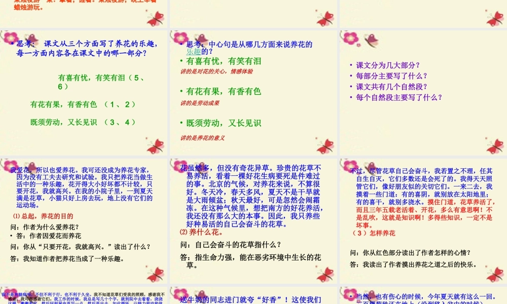 六年级语文下册 第3单元 7《养花》课件4 语文A版-语文A版小学六年级下册语文课件