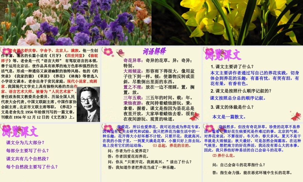 六年级语文下册 第3单元 7《养花》课件5 语文A版-语文A版小学六年级下册语文课件