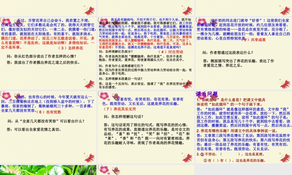 六年级语文下册 第3单元 7《养花》课件5 语文A版-语文A版小学六年级下册语文课件