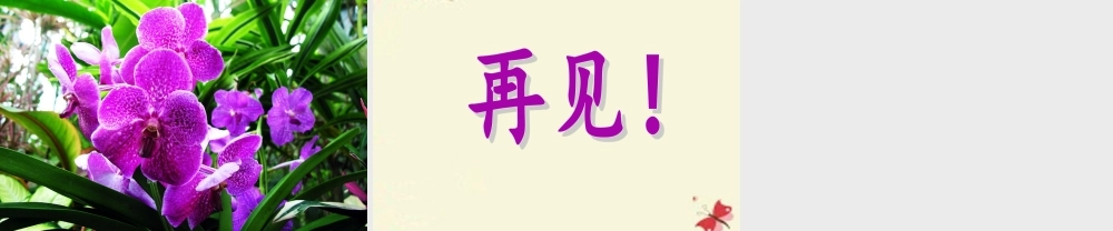六年级语文下册 第3单元 7《养花》课件5 语文A版-语文A版小学六年级下册语文课件