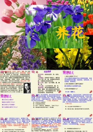 六年级语文下册 第3单元 7《养花》课件5 语文A版-语文A版小学六年级下册语文课件