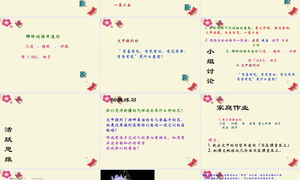 六年级语文下册 第3单元 7《养花》课件6 语文A版-语文A版小学六年级下册语文课件