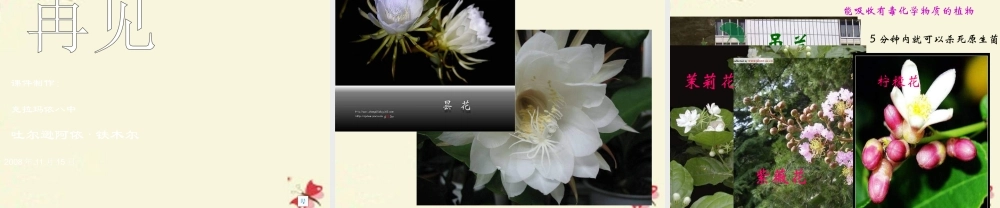 六年级语文下册 第3单元 7《养花》课件6 语文A版-语文A版小学六年级下册语文课件