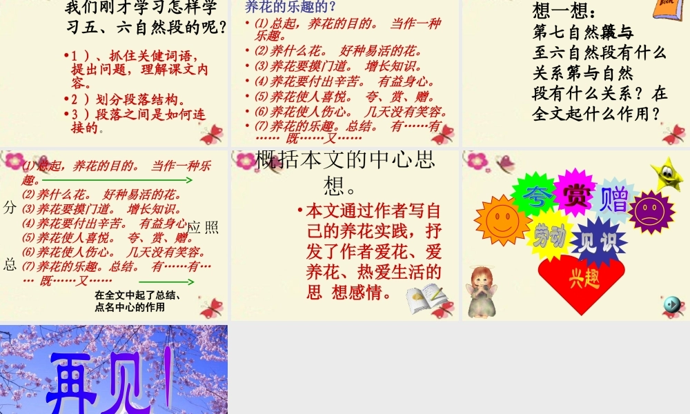 六年级语文下册 第3单元 7《养花》课件7 语文A版-语文A版小学六年级下册语文课件