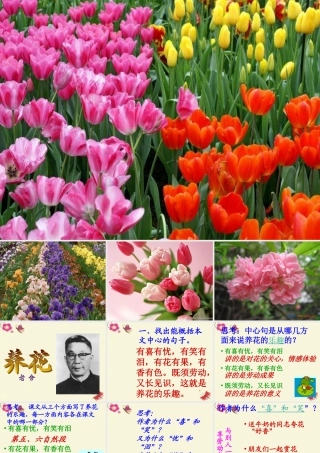 六年级语文下册 第3单元 7《养花》课件7 语文A版-语文A版小学六年级下册语文课件