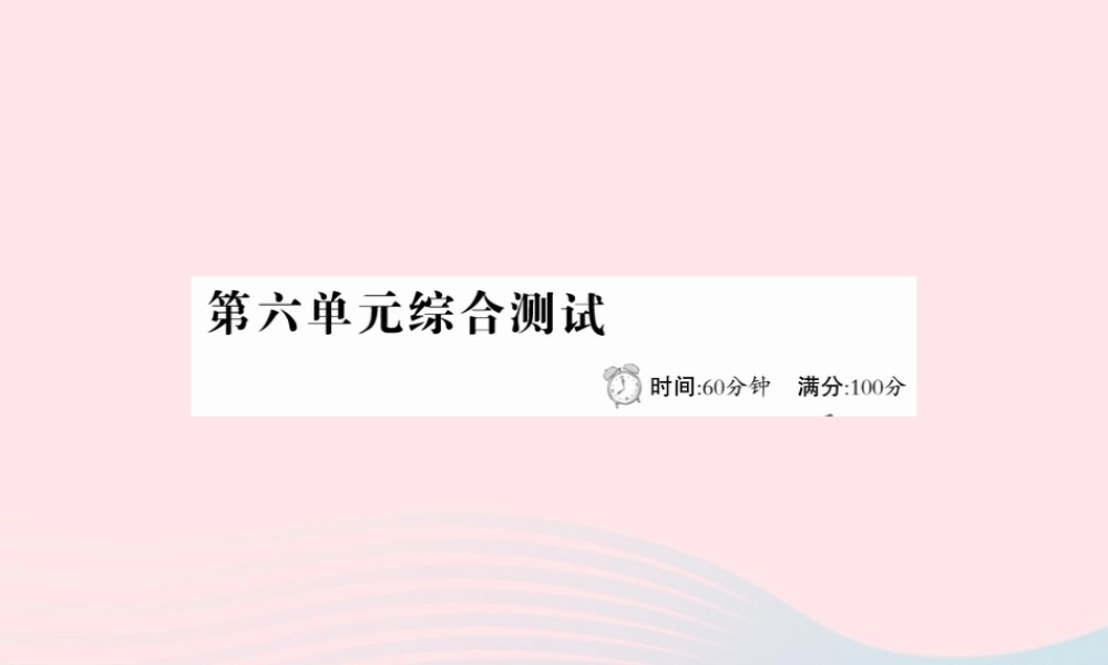 六年级语文下册 第六单元综合测试课件 新人教版-新人教版小学六年级下册语文课件