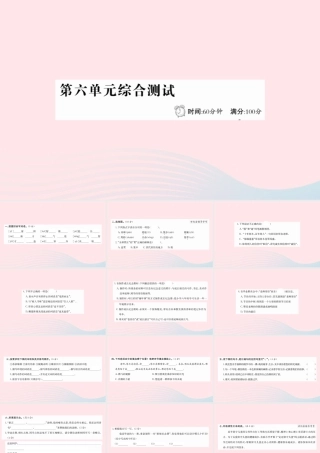 六年级语文下册 第六单元综合测试课件 新人教版-新人教版小学六年级下册语文课件