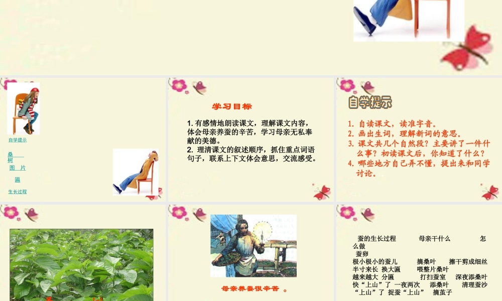 六年级语文下册 第3单元 8《春蚕》课件2 语文A版-语文A版小学六年级下册语文课件