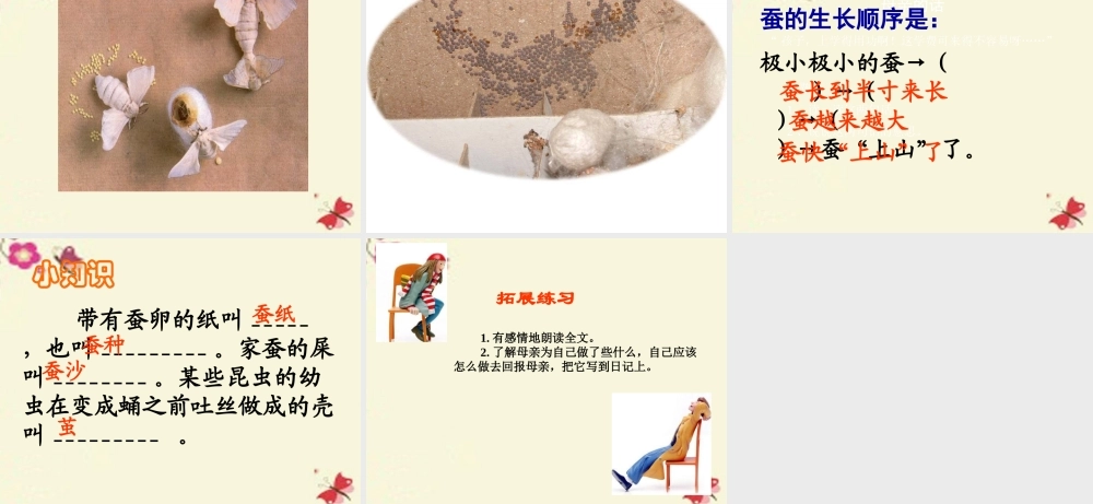 六年级语文下册 第3单元 8《春蚕》课件2 语文A版-语文A版小学六年级下册语文课件