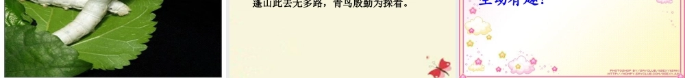 六年级语文下册 第3单元 8《春蚕》课件4 语文A版-语文A版小学六年级下册语文课件