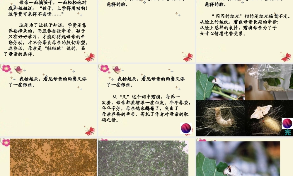 六年级语文下册 第3单元 8《春蚕》课件5 语文A版-语文A版小学六年级下册语文课件