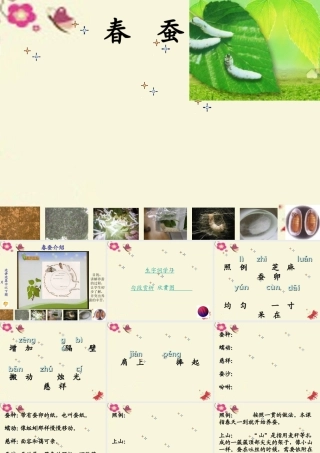 六年级语文下册 第3单元 8《春蚕》课件5 语文A版-语文A版小学六年级下册语文课件