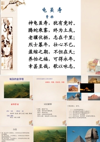 六年级语文下册《龟虽寿》课件2 长春版-长春版小学六年级下册语文课件