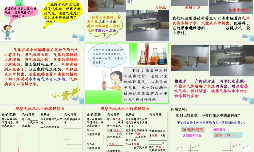 四年级科学上册 2.4 不同物质在水中的溶解能力课件1 教科版-教科版小学四年级上册自然科学课件