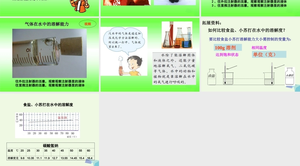 四年级科学上册 2.4 不同物质在水中的溶解能力课件2 教科版-教科版小学四年级上册自然科学课件