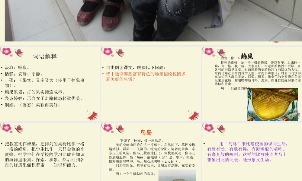 六年级语文下册 第6单元 27《校园交响诗》课件4 语文S版-语文S版小学六年级下册语文课件