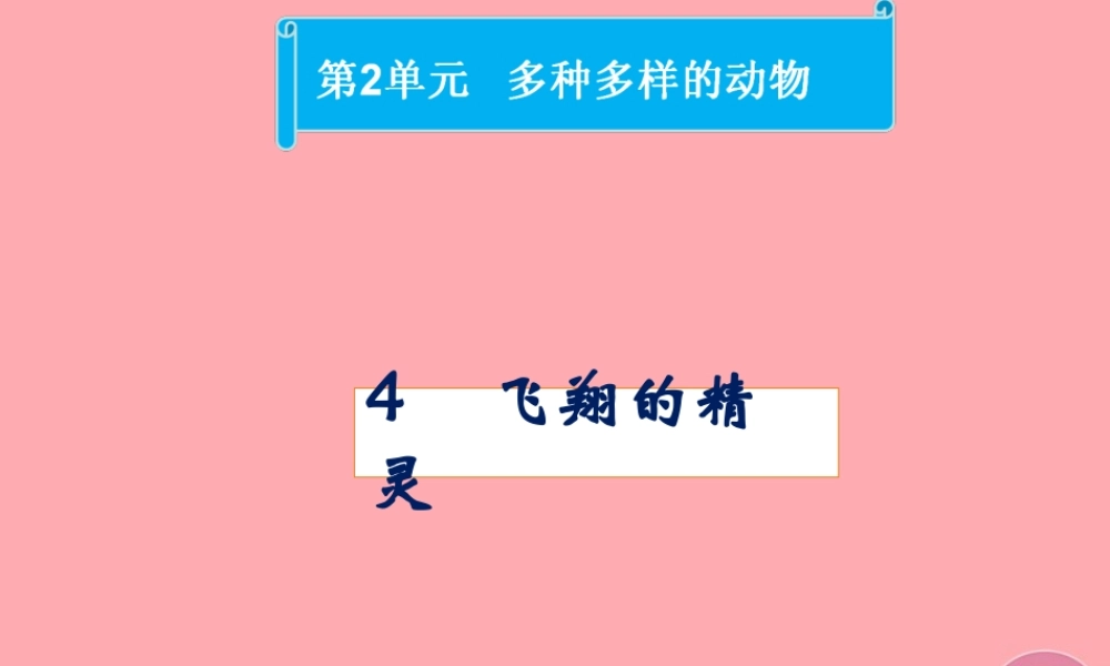 四年级科学上册 2.4 飞翔的精灵课件1 湘教版-湘教版小学四年级上册自然科学课件