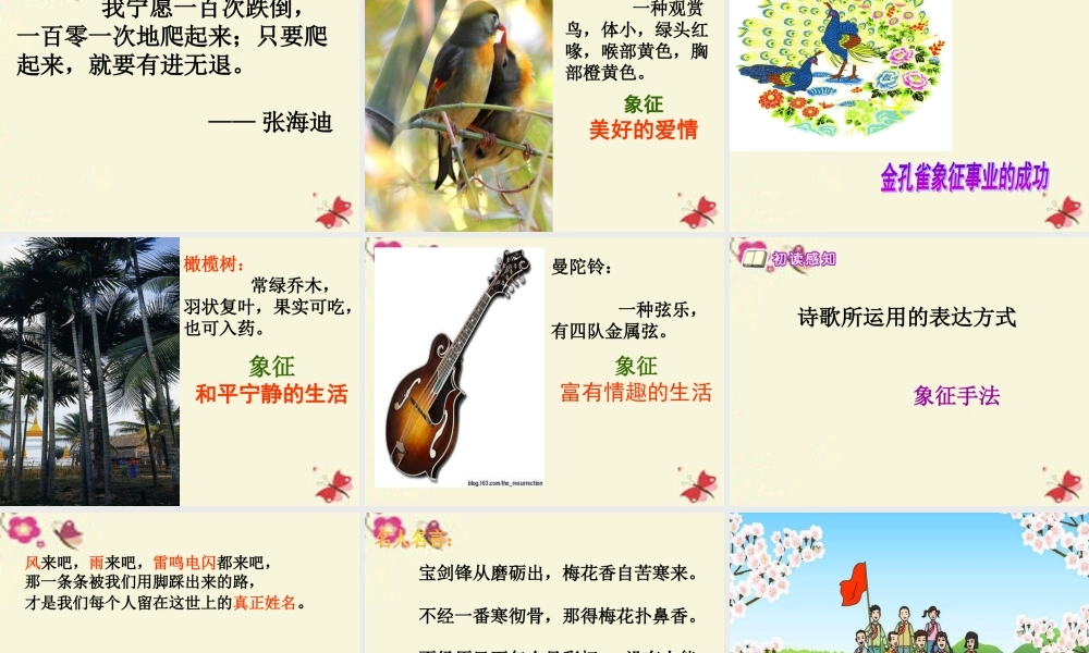 六年级语文下册 第6单元 28《我们上路了》课件1 语文S版-语文S版小学六年级下册语文课件