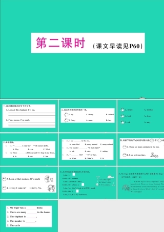 四年级英语上册 Unit 3 Look at that elephant第二课时作业课件 湘少版（三起）-湘少版小学四年级上册英语课件