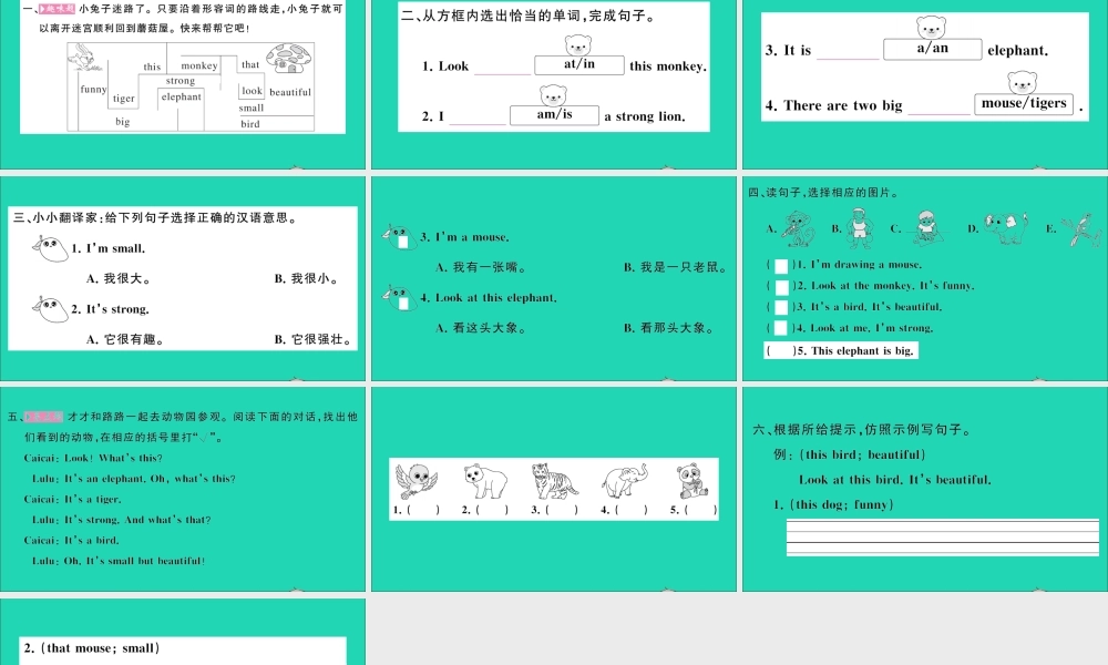 四年级英语上册 Unit 3 Look at that elephant第一课时作业课件 湘少版（三起）-湘少版小学四年级上册英语课件