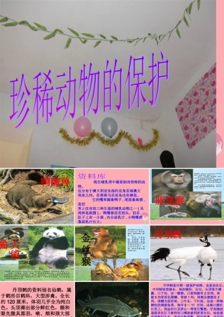 四年级科学上册 2.5 珍稀动物的保护课件1 湘教版-湘教版小学四年级上册自然科学课件