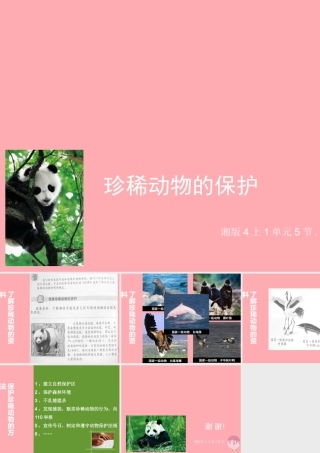 四年级科学上册 2.5 珍稀动物的保护课件2 湘教版-湘教版小学四年级上册自然科学课件