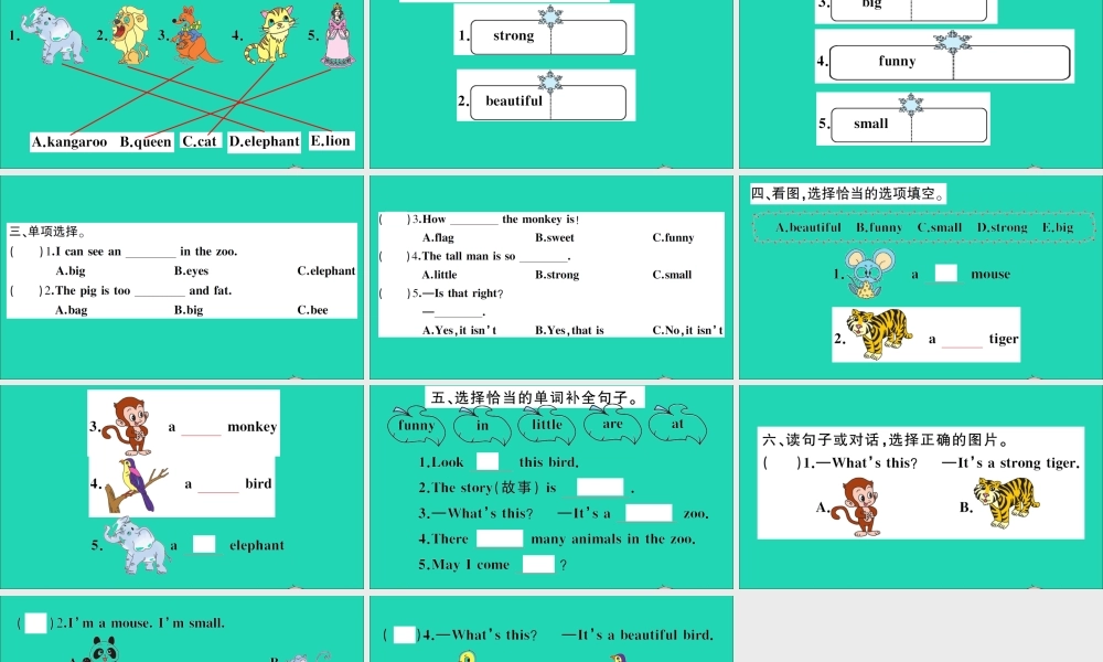 四年级英语上册 Unit 3 Look at that elephant作业课件 湘少版-湘少版小学四年级上册英语课件