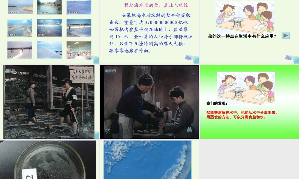 四年级科学上册 2.7 分离食盐与水的方法课件2 教科版-教科版小学四年级上册自然科学课件