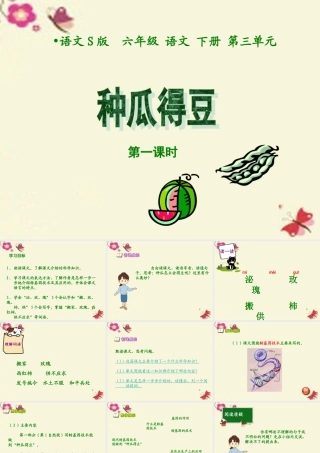 六年级语文下册 第3单元 12《种瓜得豆》（第1课时）课件 语文S版-语文S版小学六年级下册语文课件