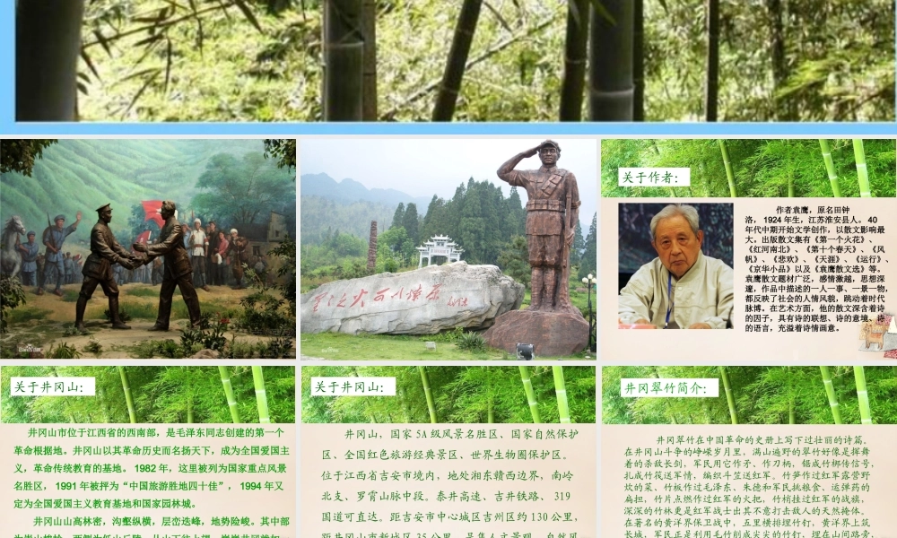 六年级语文下册《井冈翠竹》课件1 长春版-长春版小学六年级下册语文课件