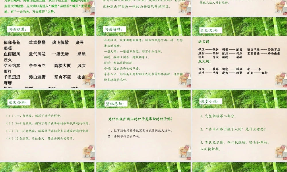 六年级语文下册《井冈翠竹》课件1 长春版-长春版小学六年级下册语文课件