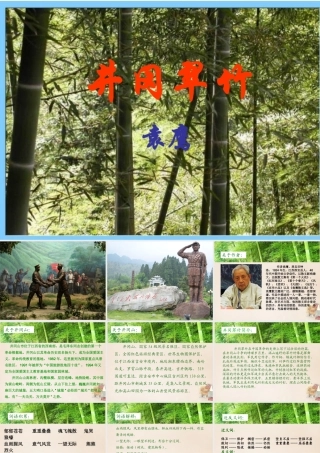 六年级语文下册《井冈翠竹》课件1 长春版-长春版小学六年级下册语文课件