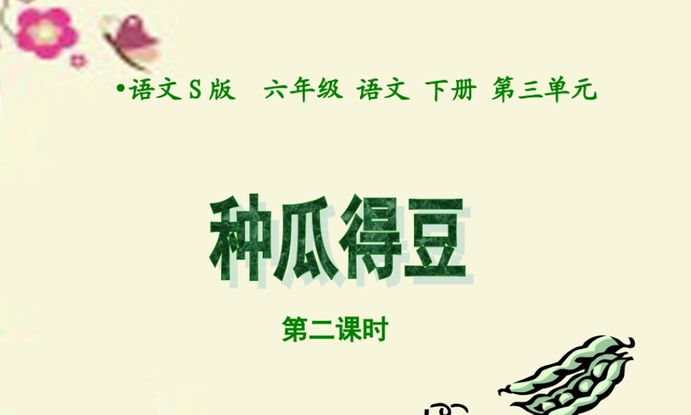 六年级语文下册 第3单元 12《种瓜得豆》（第2课时）课件 语文S版-语文S版小学六年级下册语文课件