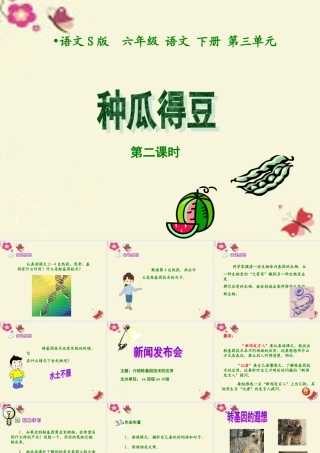 六年级语文下册 第3单元 12《种瓜得豆》（第2课时）课件 语文S版-语文S版小学六年级下册语文课件
