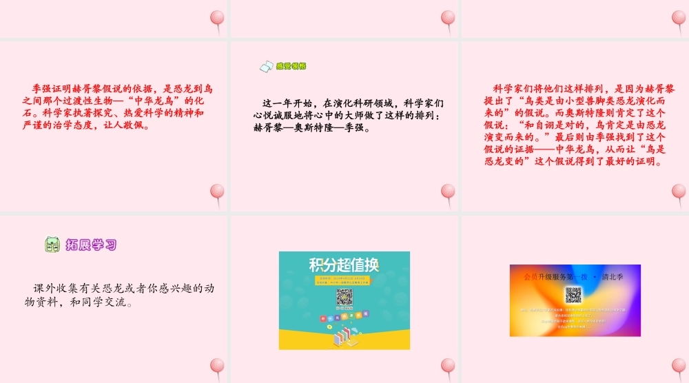 六年级语文下册 第三单元 第9课《恐龙在我们头上飞》课件 西师大版-西师大版小学六年级下册语文课件