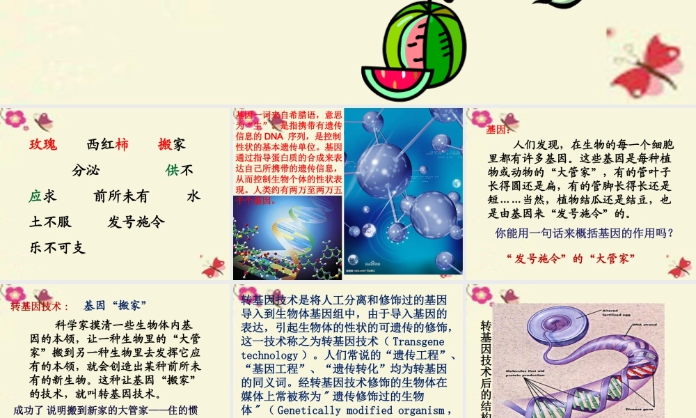 六年级语文下册 第3单元 12《种瓜得豆》课件1 语文S版-语文S版小学六年级下册语文课件