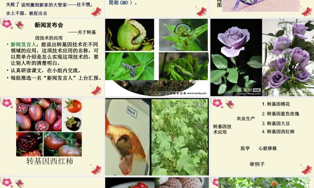 六年级语文下册 第3单元 12《种瓜得豆》课件1 语文S版-语文S版小学六年级下册语文课件