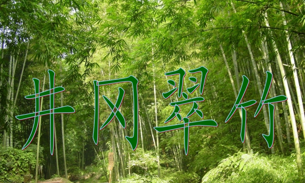 六年级语文下册《井冈翠竹》课件2 长春版-长春版小学六年级下册语文课件