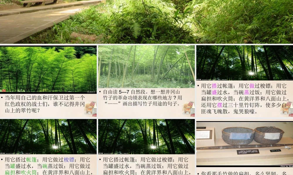 六年级语文下册《井冈翠竹》课件2 长春版-长春版小学六年级下册语文课件