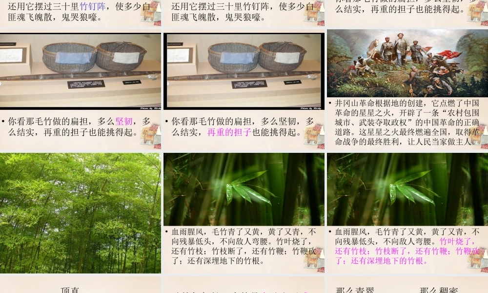 六年级语文下册《井冈翠竹》课件2 长春版-长春版小学六年级下册语文课件