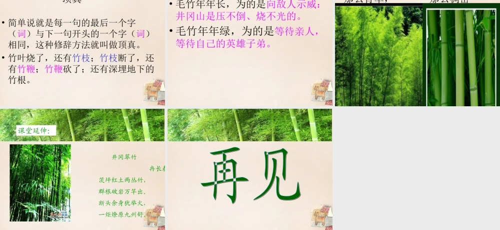 六年级语文下册《井冈翠竹》课件2 长春版-长春版小学六年级下册语文课件