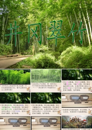 六年级语文下册《井冈翠竹》课件2 长春版-长春版小学六年级下册语文课件