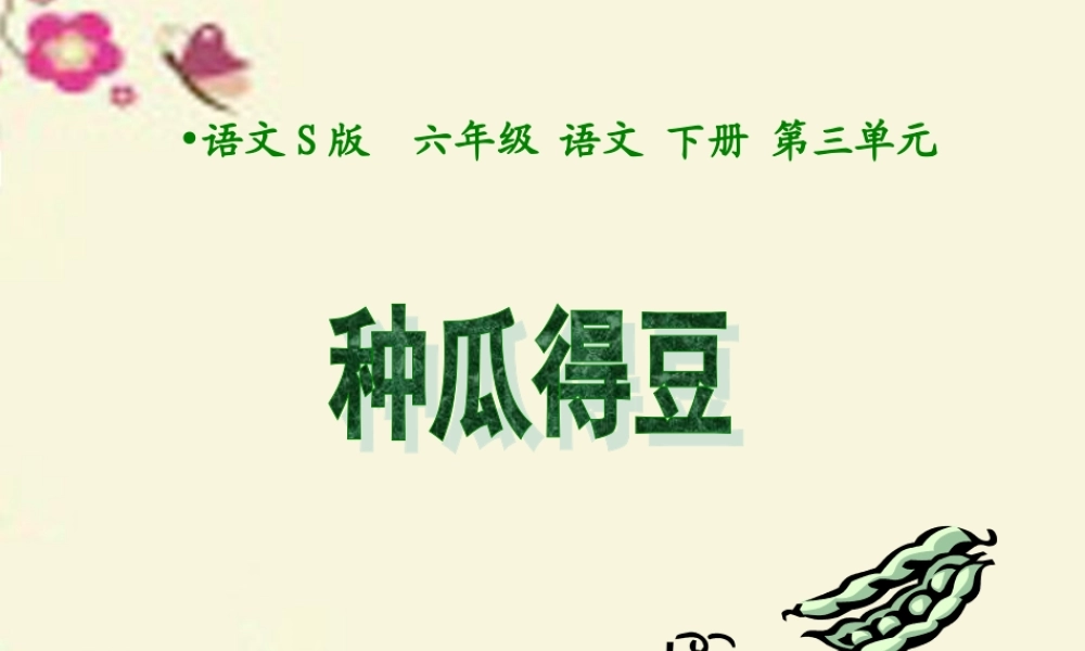 六年级语文下册 第3单元 12《种瓜得豆》课件2 语文S版-语文S版小学六年级下册语文课件